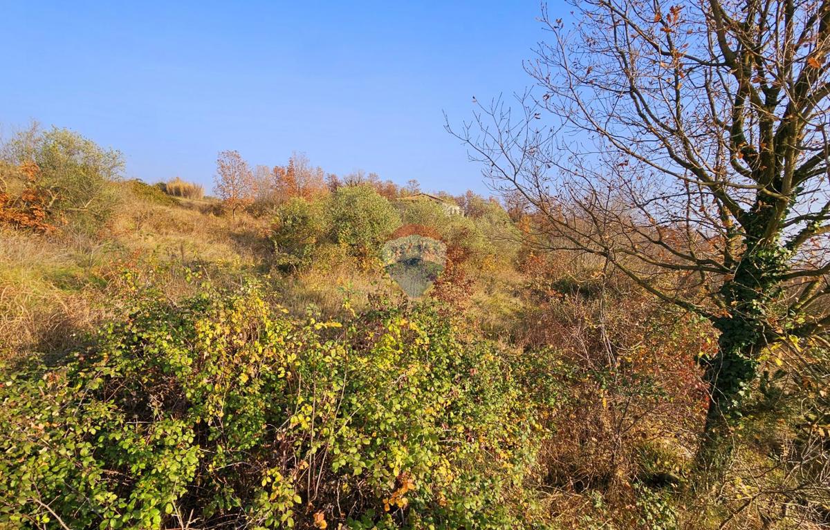 Terreno edificabile Brtonigla, 900m2