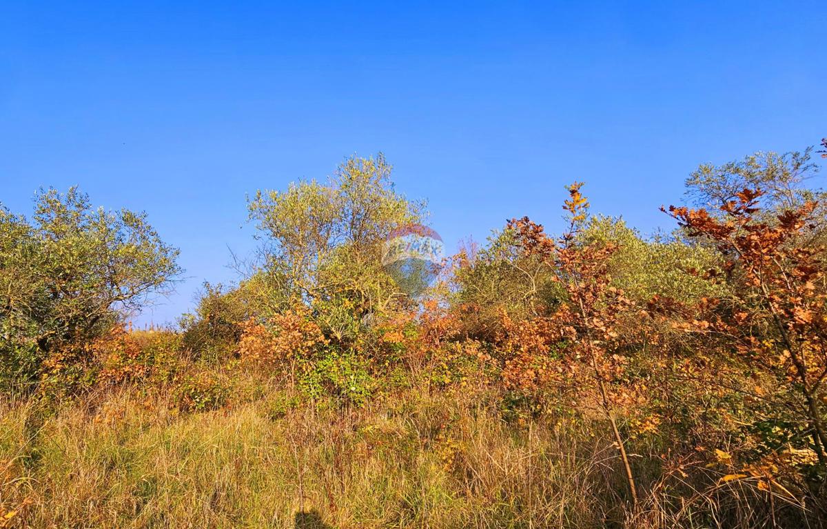 Terreno edificabile Brtonigla, 900m2