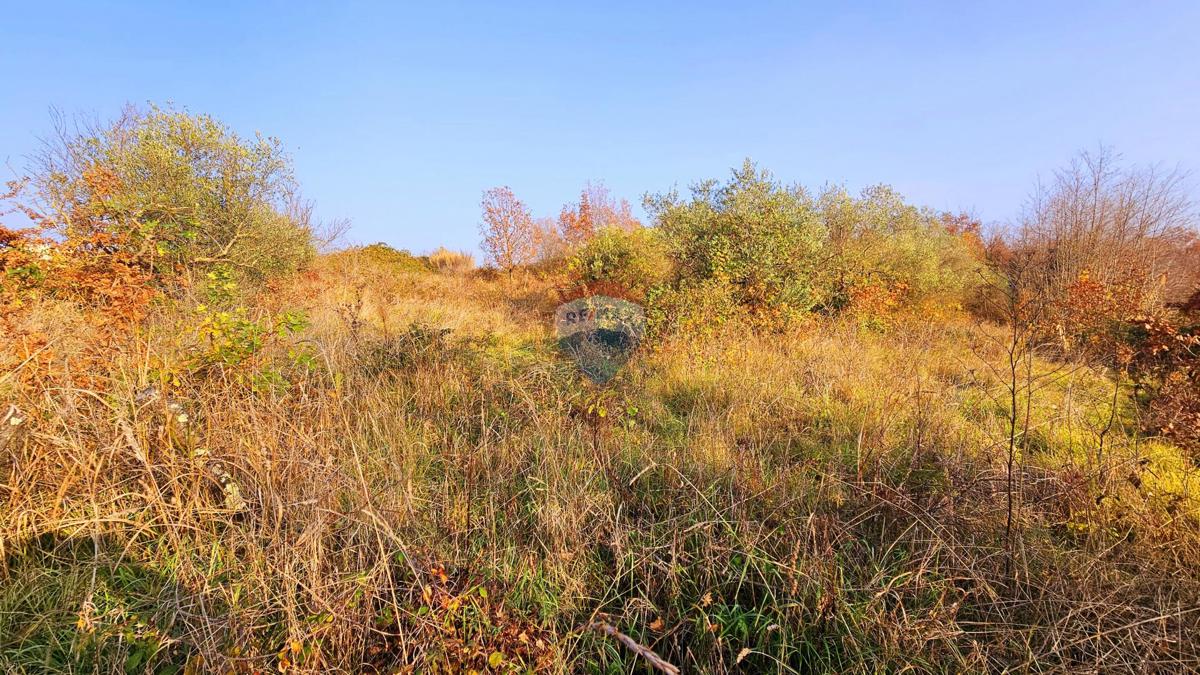 Terreno edificabile Brtonigla, 900m2