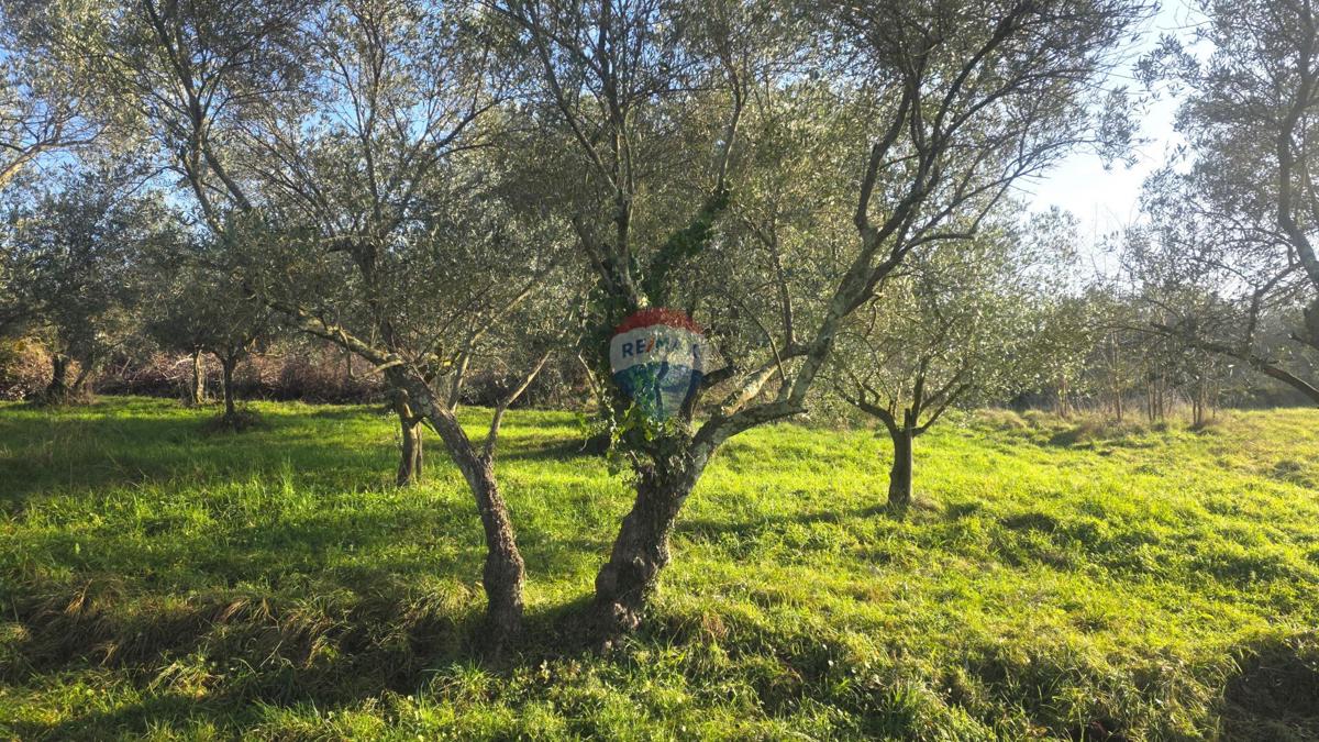 Terreno edificabile Lovrečica, Umag, 683m2