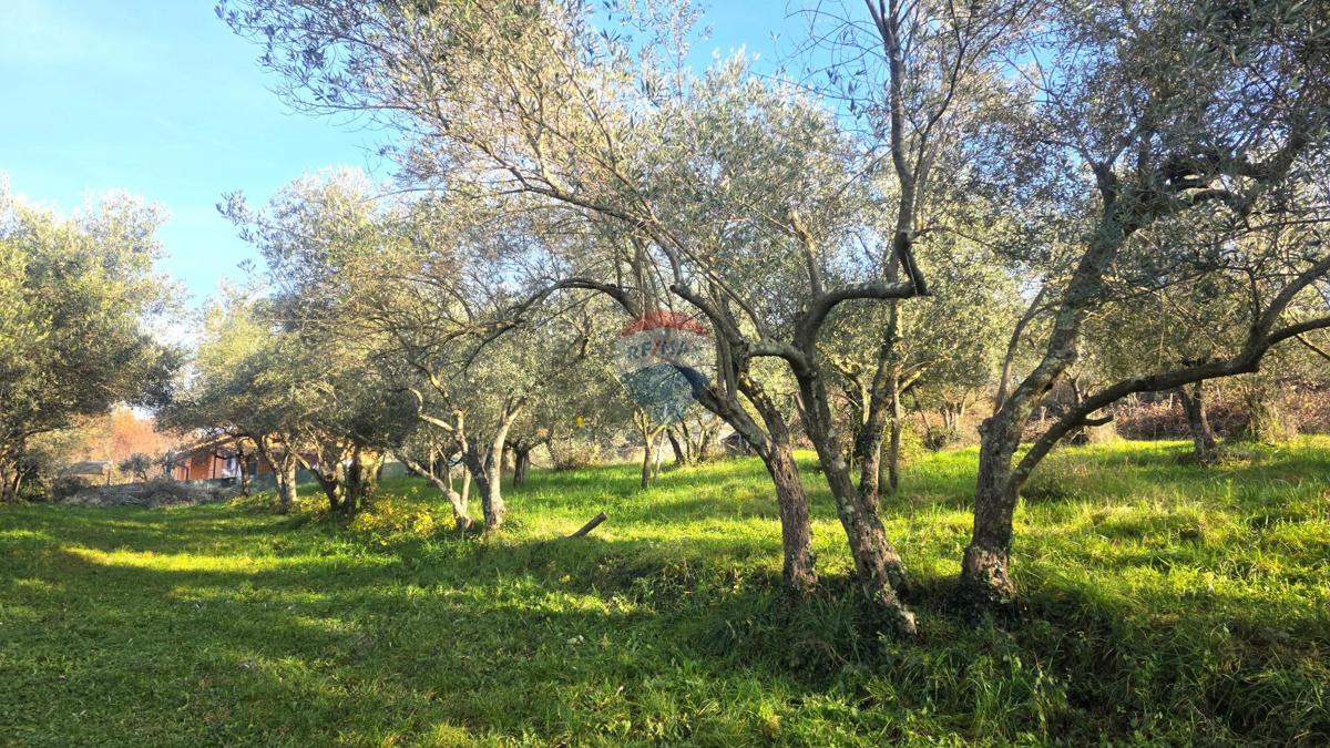 Terreno edificabile Lovrečica, Umag, 683m2