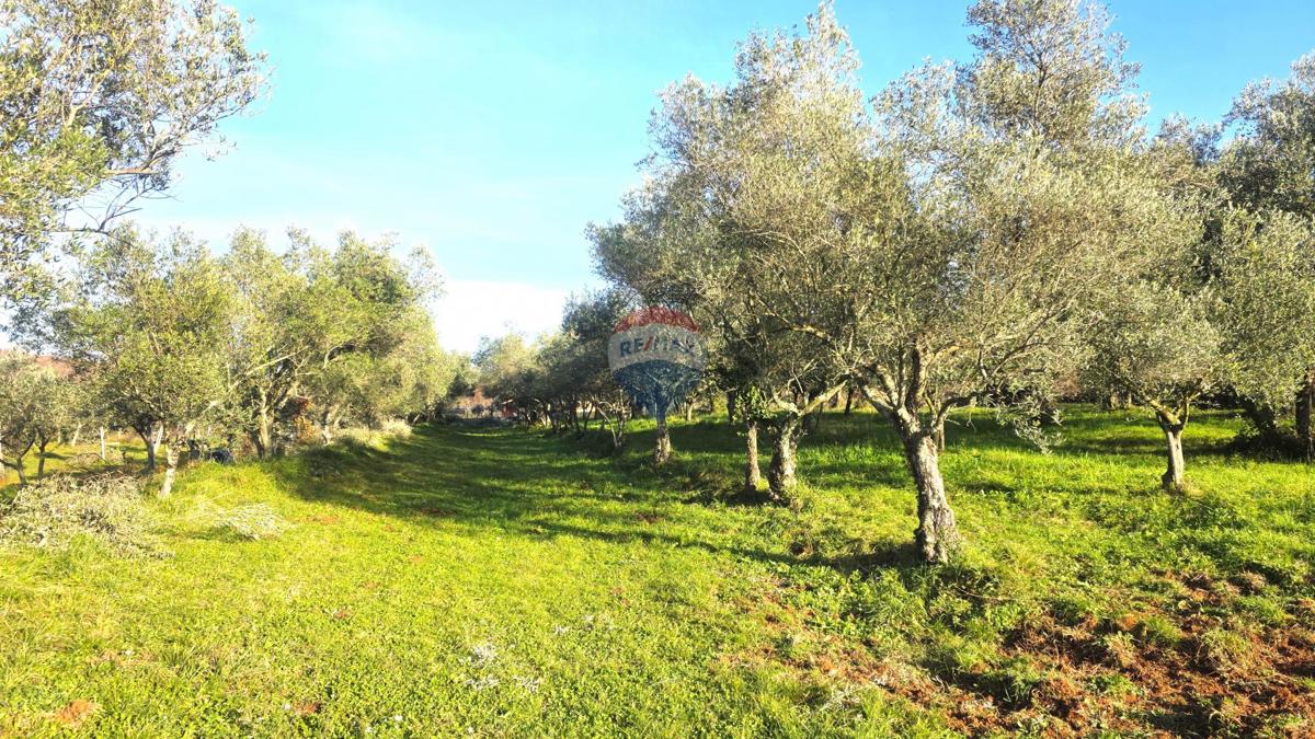 Terreno edificabile Lovrečica, Umag, 683m2