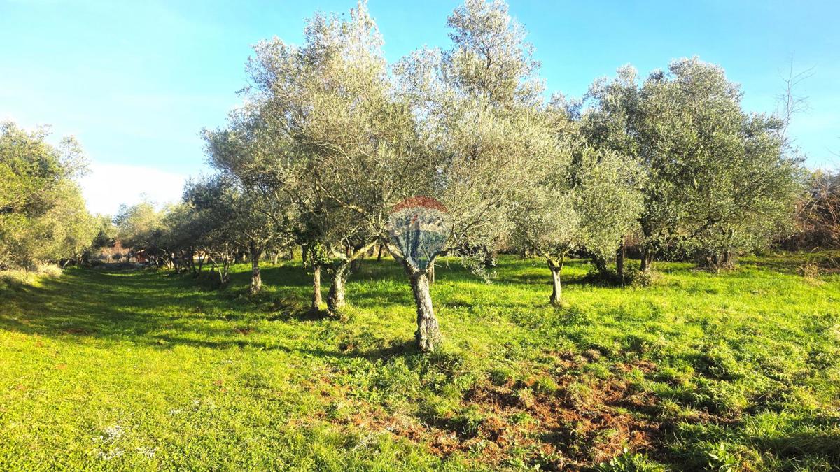 Terreno edificabile Lovrečica, Umag, 683m2