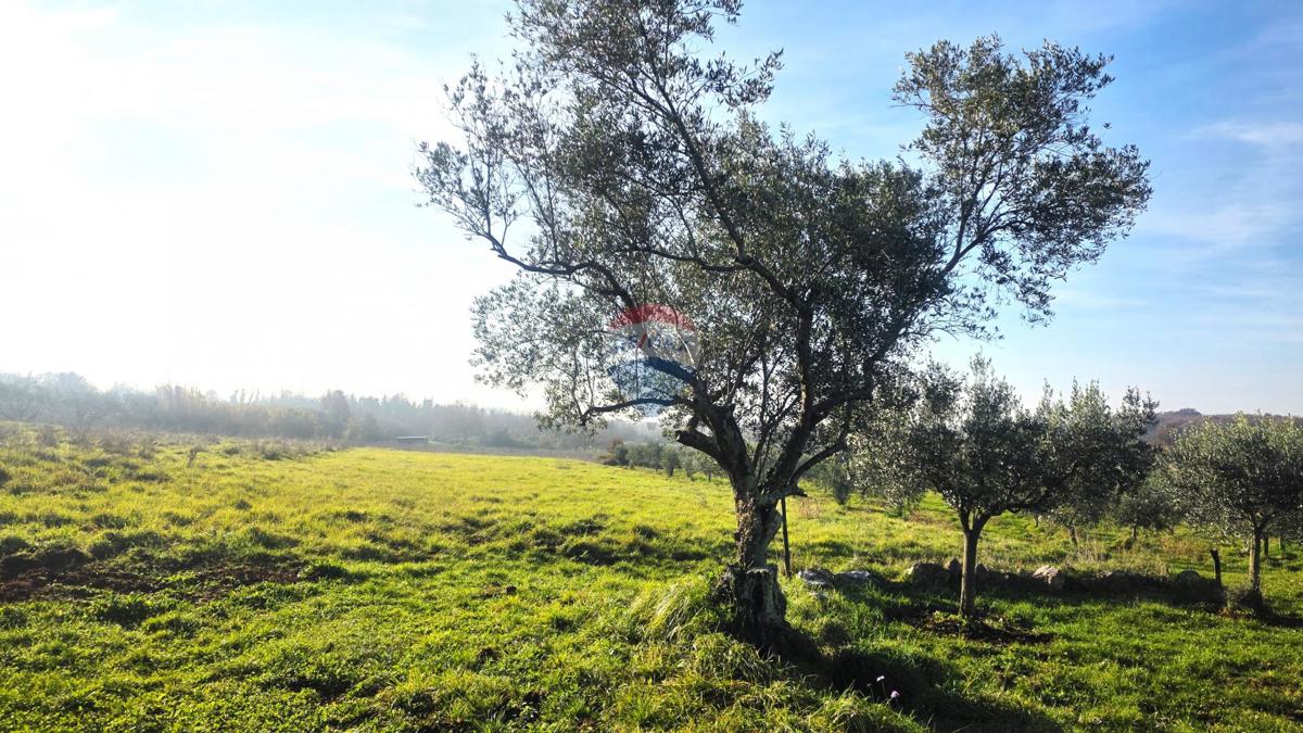 Terreno edificabile Lovrečica, Umag, 683m2