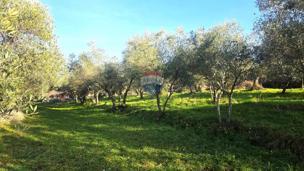 Terreno edificabile Lovrečica, Umag, 683m2