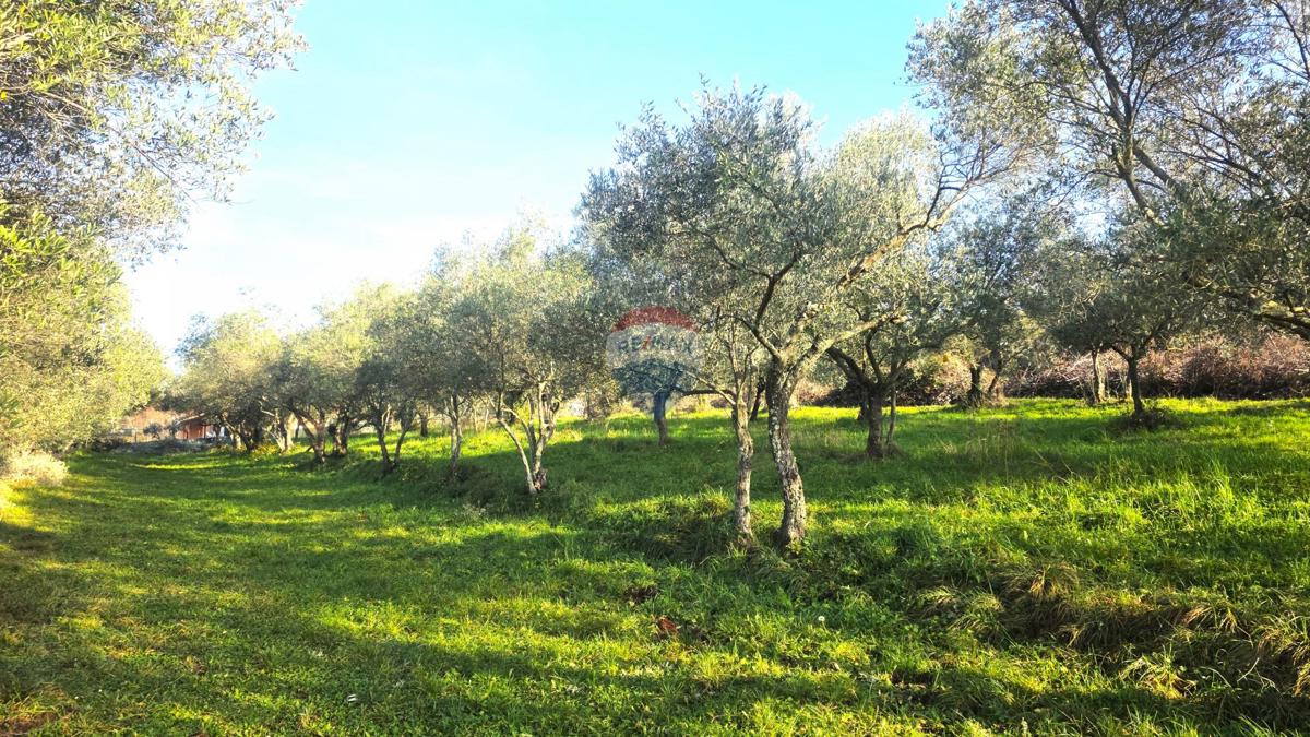 Terreno edificabile Lovrečica, Umag, 683m2