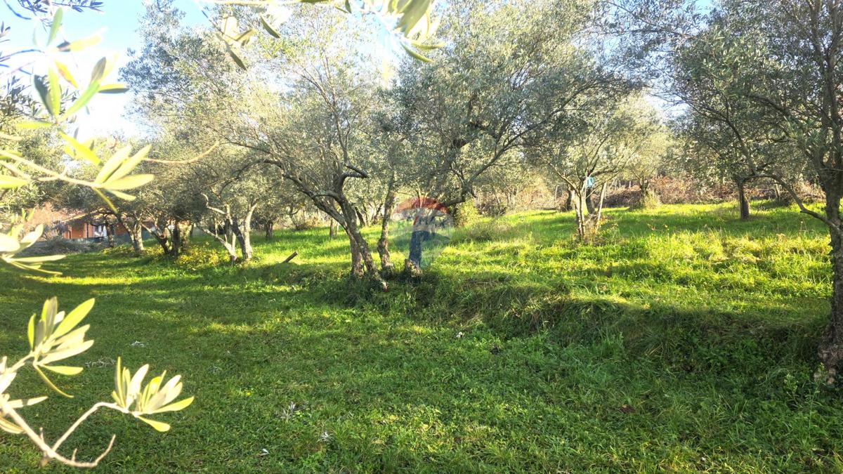 Terreno edificabile Lovrečica, Umag, 683m2