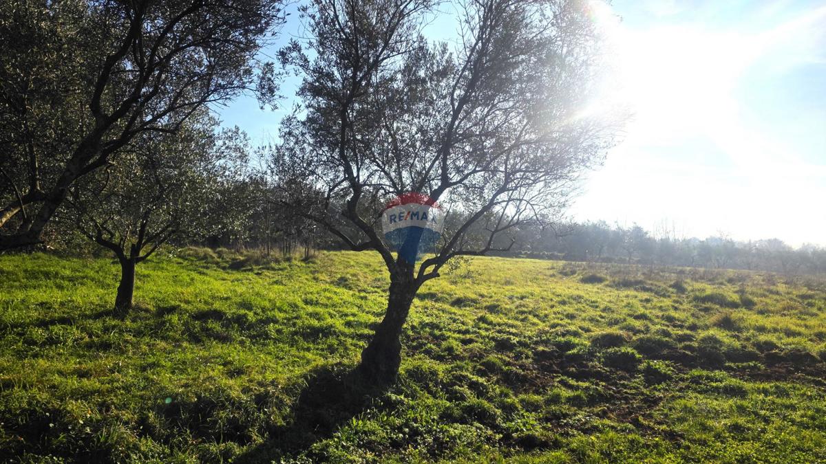 Terreno edificabile Lovrečica, Umag, 683m2