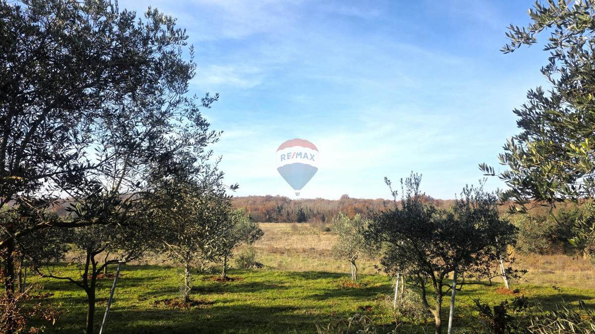 Terreno edificabile Lovrečica, Umag, 683m2