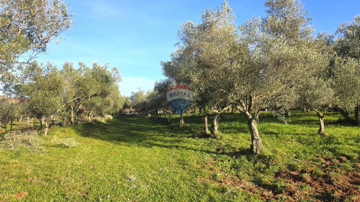 Terreno edificabile Lovrečica, Umag, 683m2