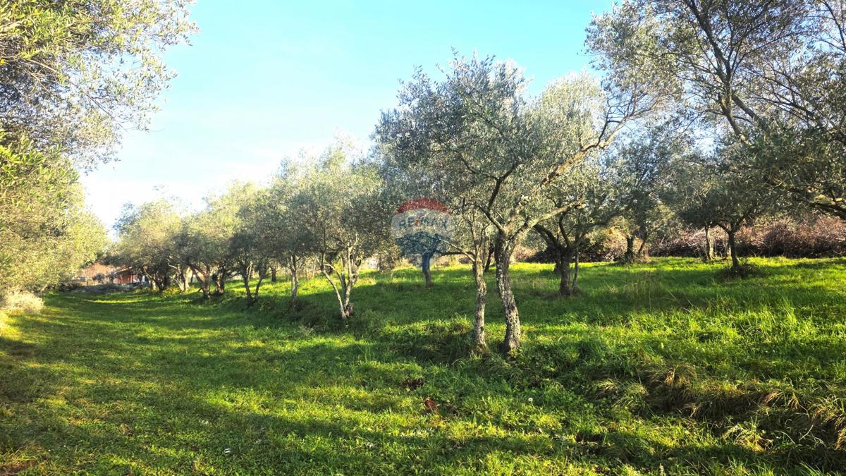 Terreno edificabile Lovrečica, Umag, 683m2