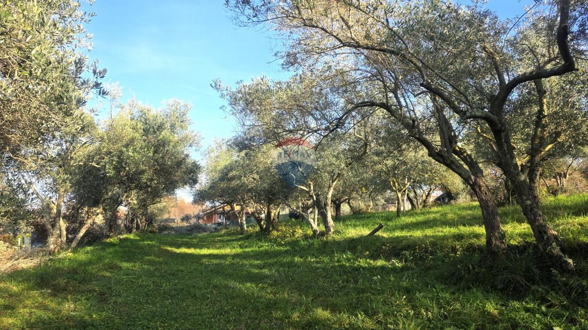 Terreno edificabile Lovrečica, Umag, 683m2