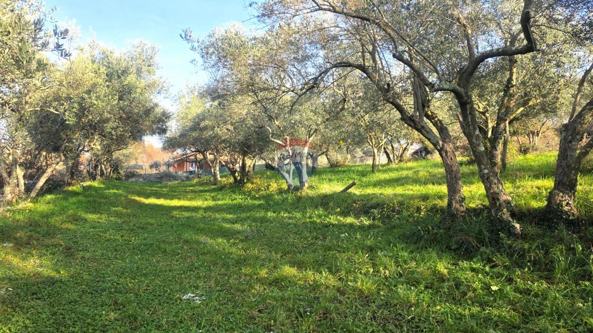 Terreno edificabile Lovrečica, Umag, 683m2