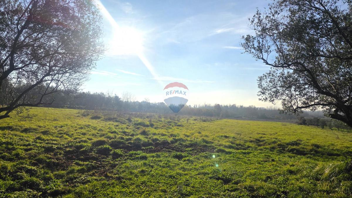 Terreno edificabile Lovrečica, Umag, 683m2