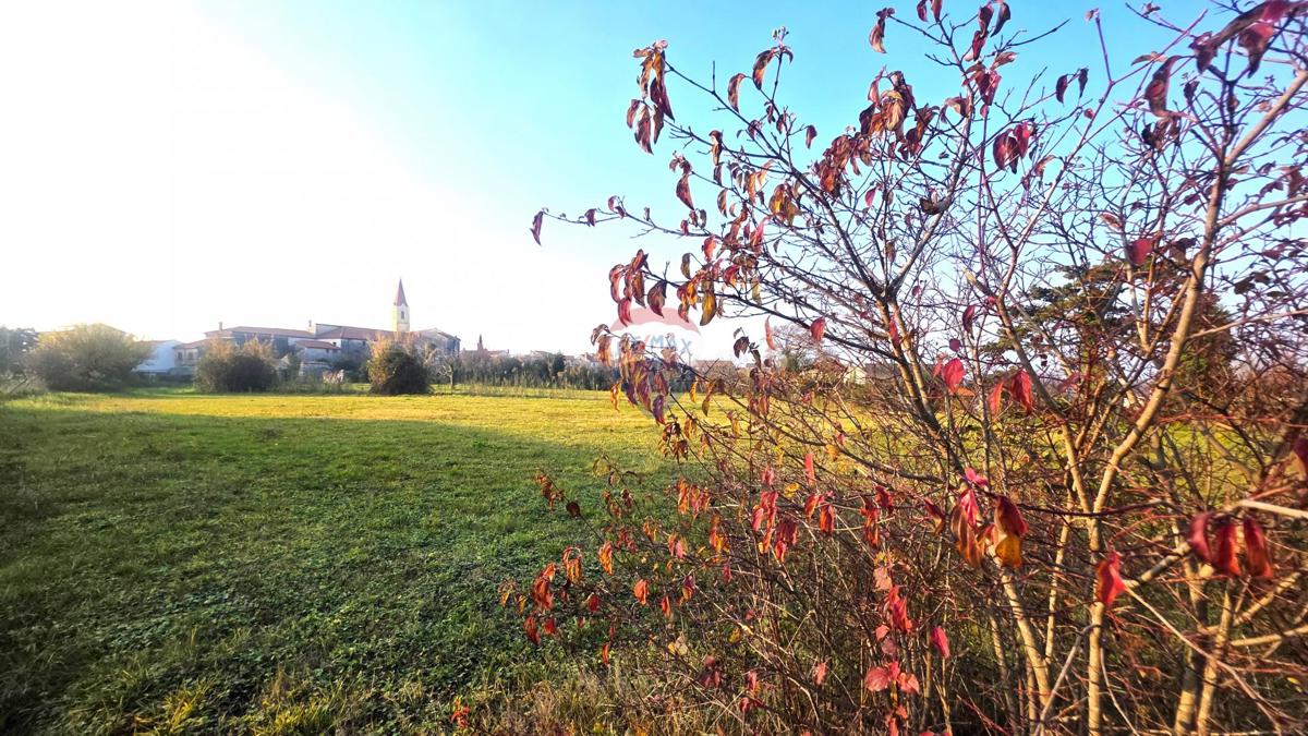 Terreno edificabile Brtonigla, 1.048m2