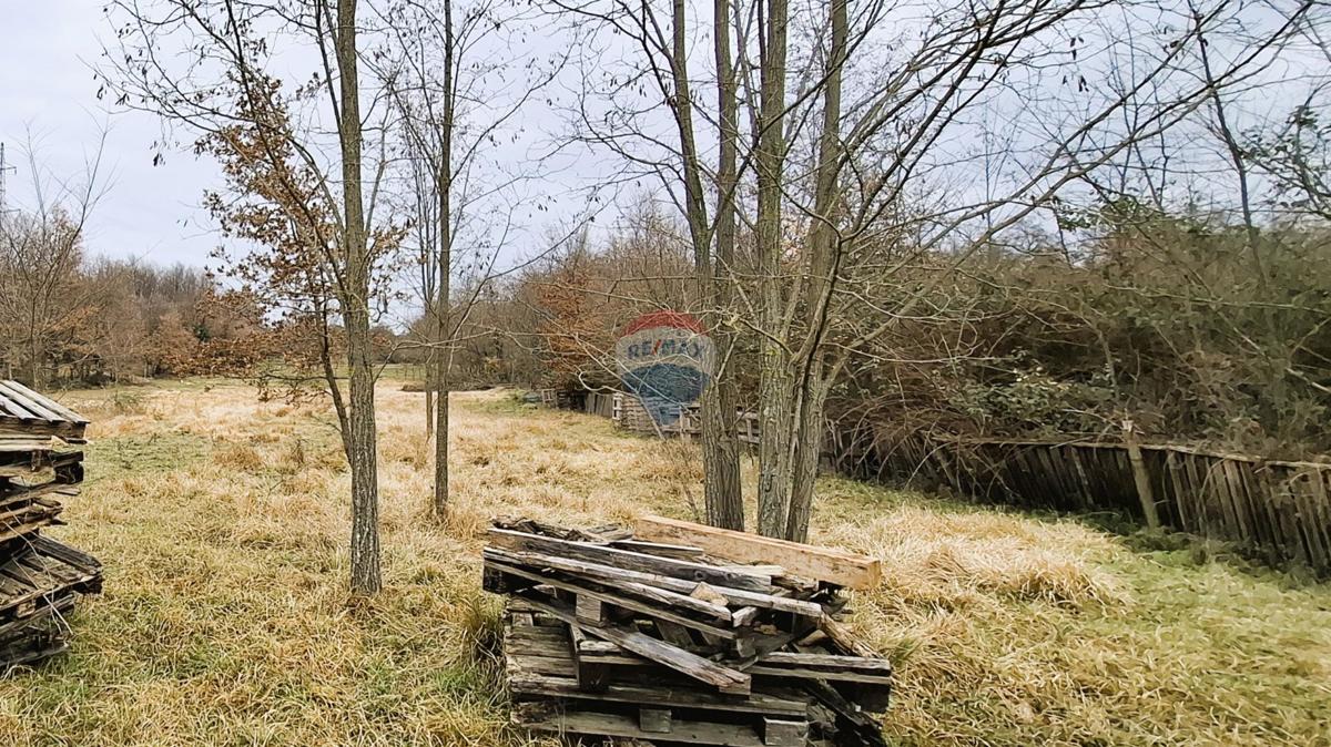 Istria, Brtonigla, terreno agricolo 9.862 m²