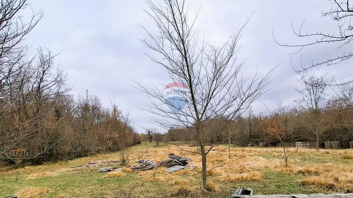 Istria, Brtonigla, terreno agricolo 9.862 m²