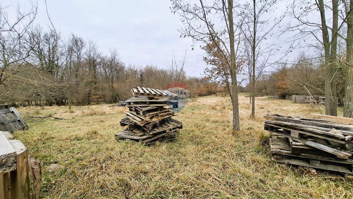 Istria, Brtonigla, terreno agricolo 9.862 m²