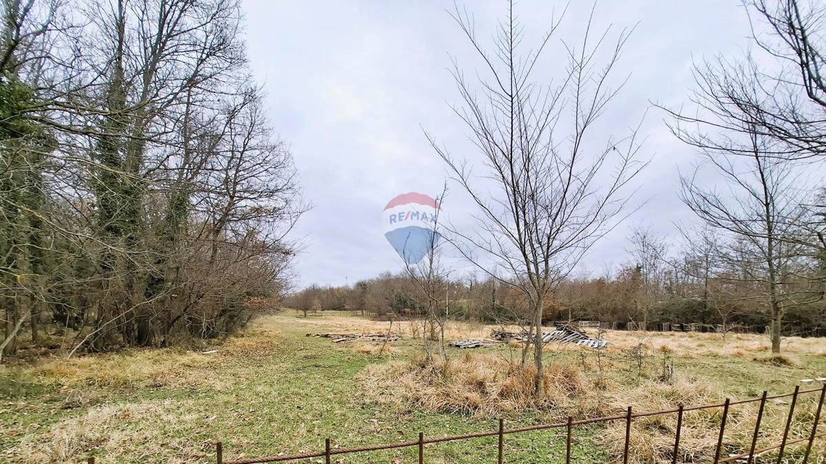 Istria, Brtonigla, terreno agricolo 9.862 m²