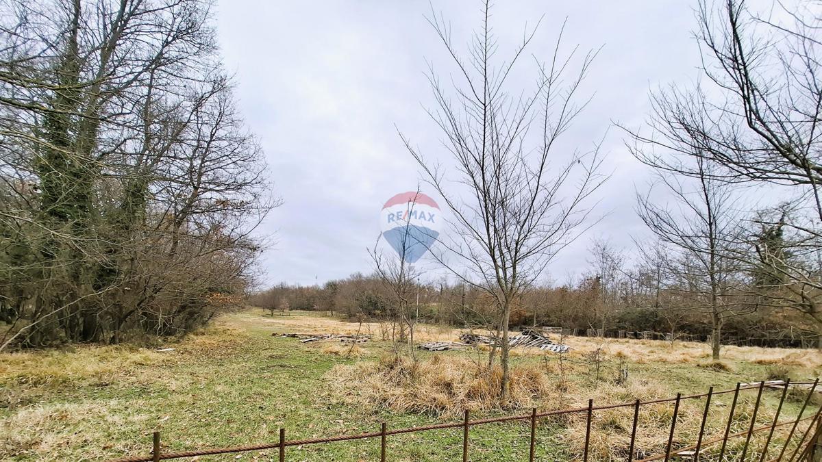 Istria, Brtonigla, terreno agricolo 9.862 m²