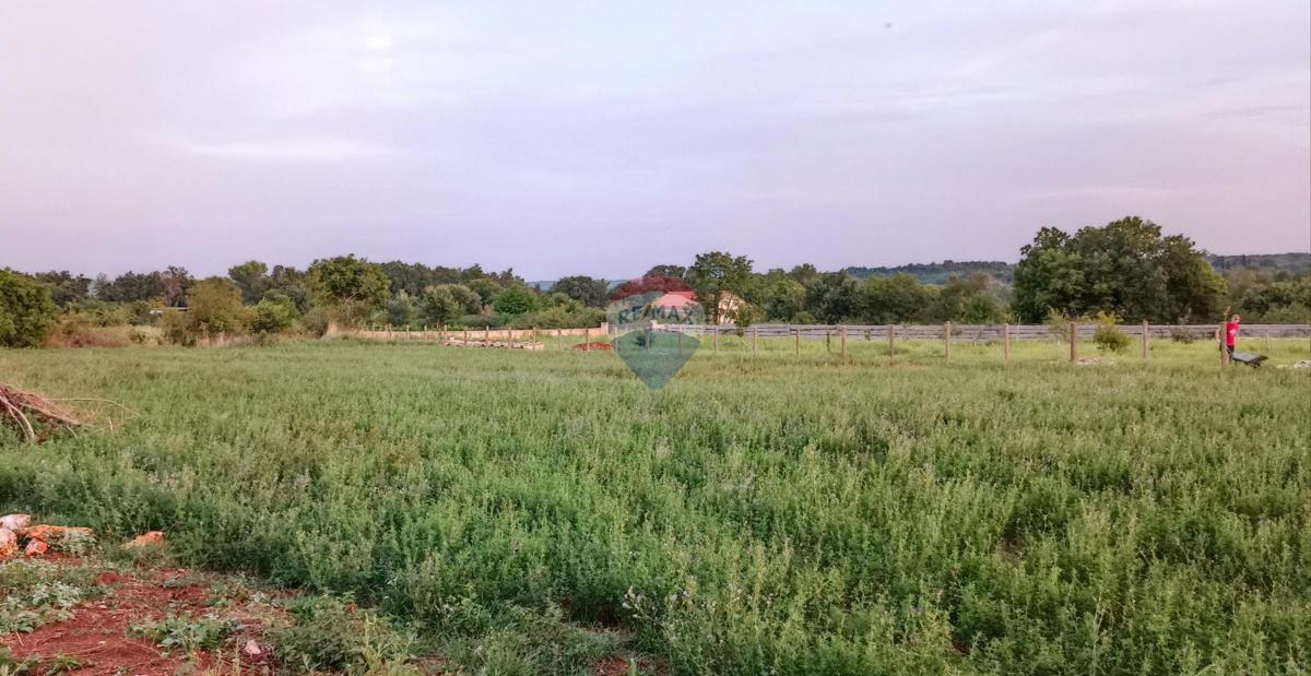 Terreno edificabile Marčana, 6.162m2