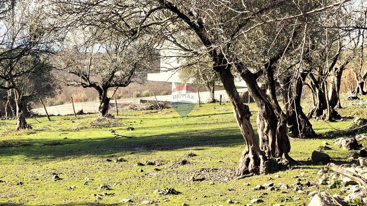 Terreno edificabile Krasica, Buje, 2.133m2