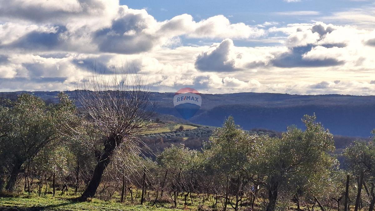 Terreno edificabile Krasica, Buje, 2.133m2