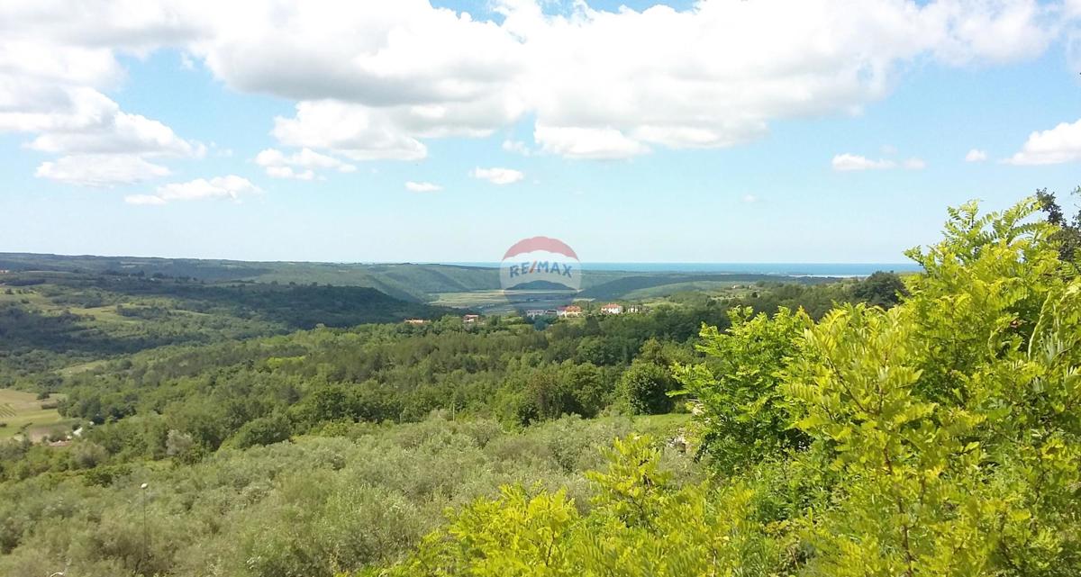 Terreno edificabile Buje, 2.524m2