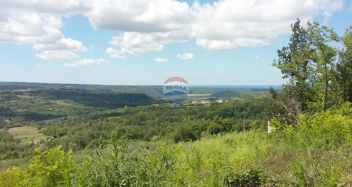 Terreno edificabile Buje, 2.524m2