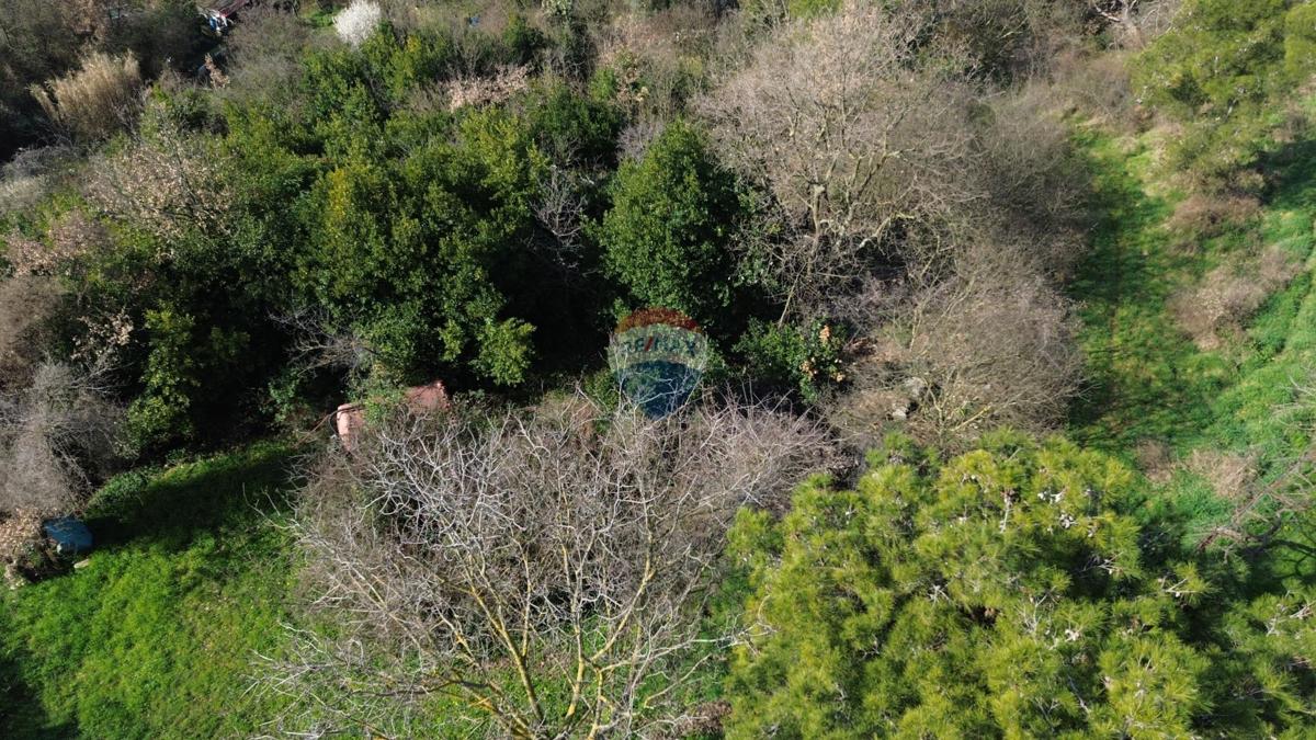 Terreno edificabile Buje, 5.762m2