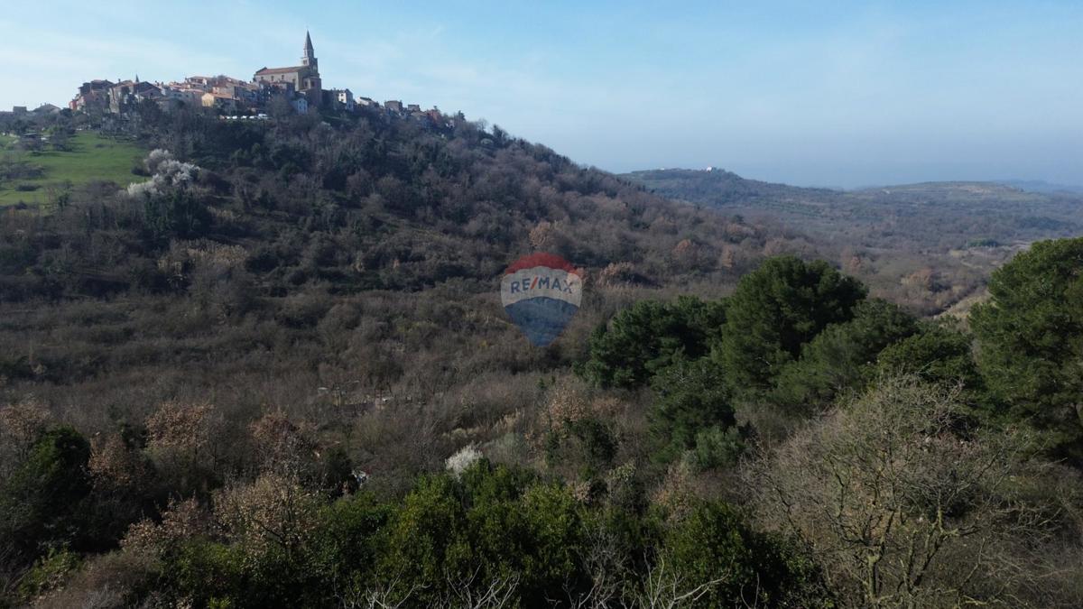 Terreno edificabile Buje, 5.762m2