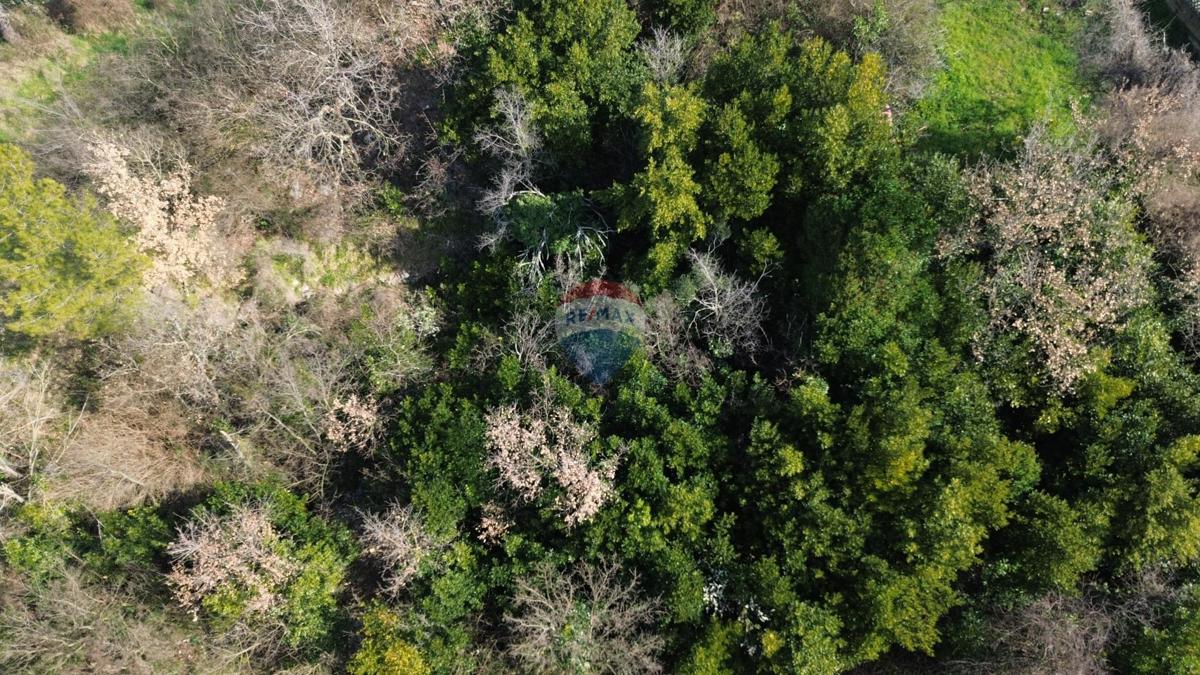 Terreno edificabile Buje, 5.762m2