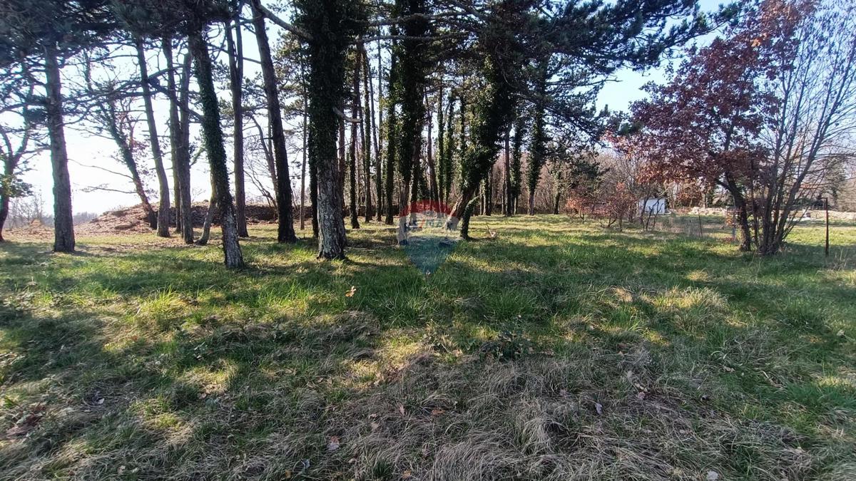 Terreno edificabile Žminj, 1.707m2