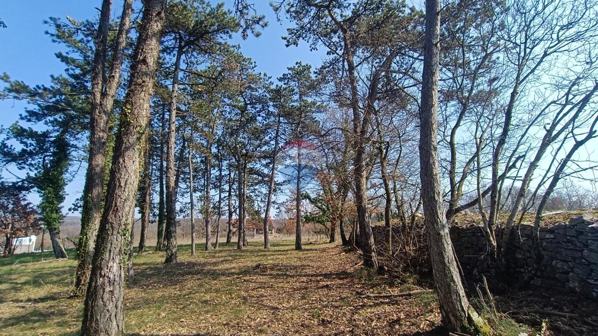 Terreno edificabile Žminj, 1.707m2