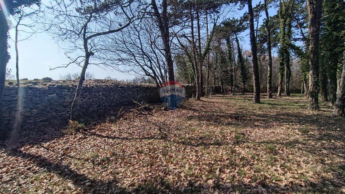 Terreno edificabile Žminj, 1.707m2