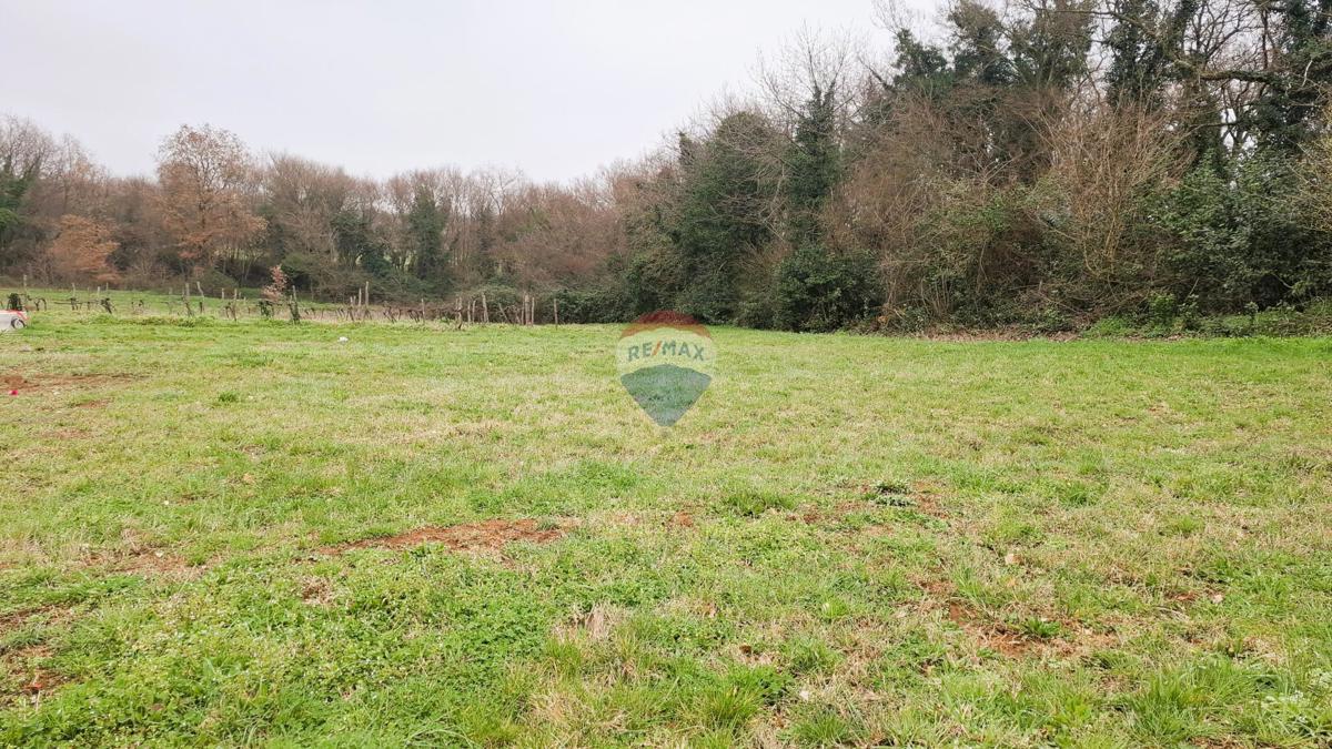 Istria, Brtonigla – Terreno edificabile 619 m²