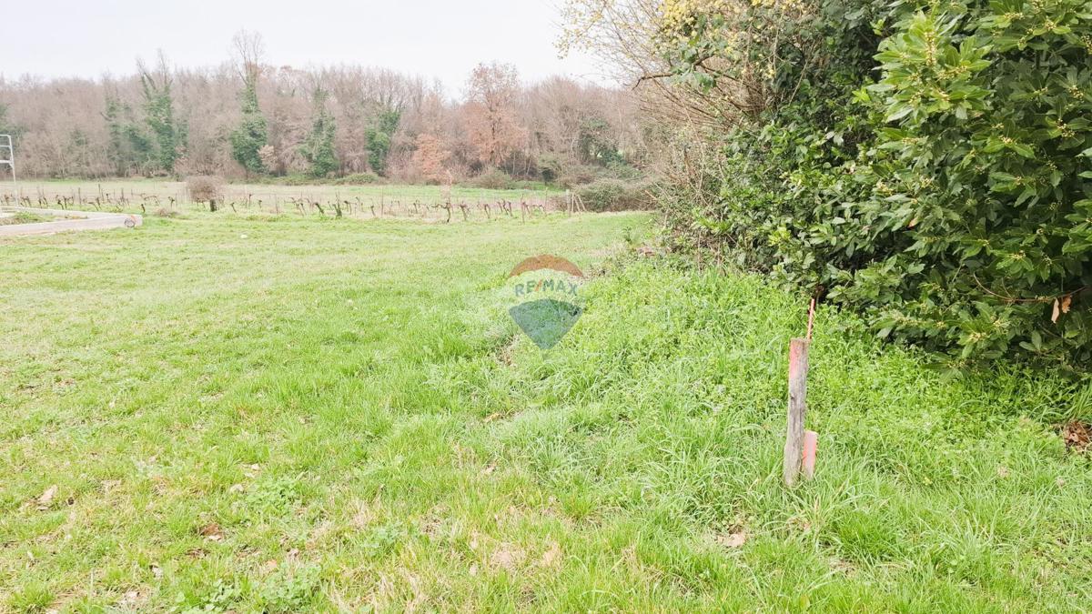 Istria, Brtonigla – Terreno edificabile 619 m²
