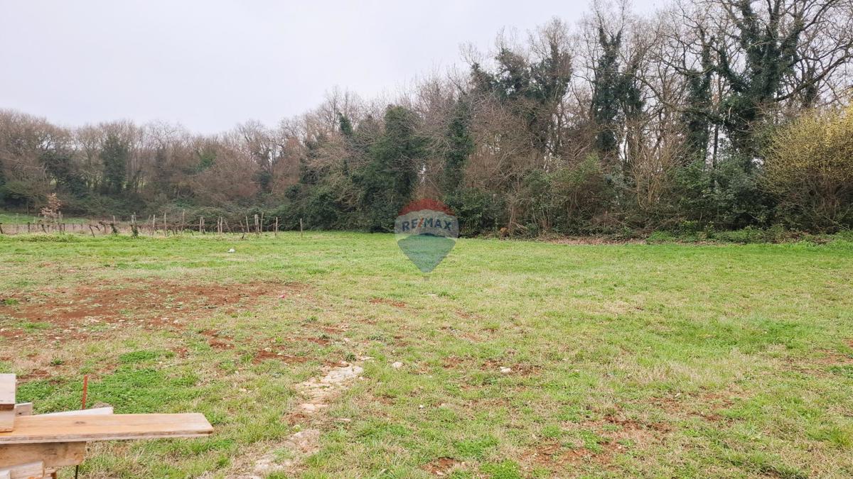 Istria, Brtonigla – Terreno edificabile 619 m²