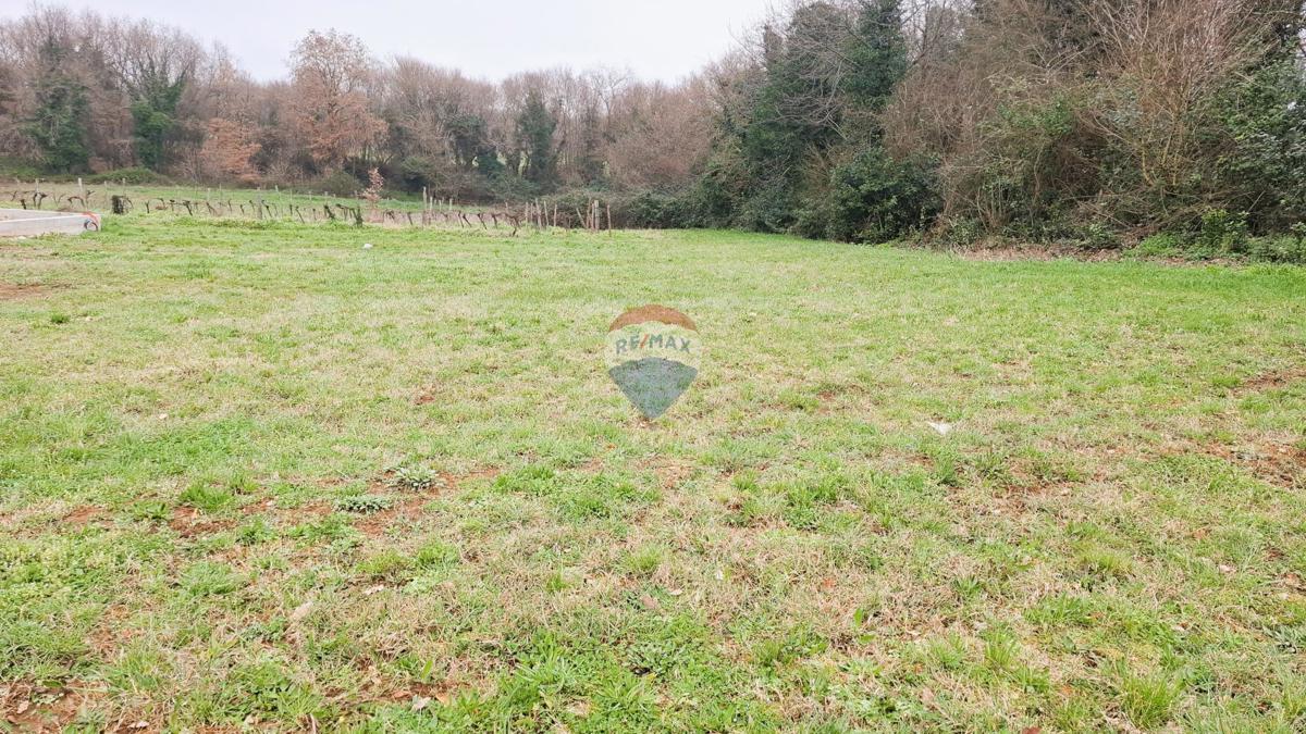 Istria, Brtonigla – Terreno edificabile 619 m²