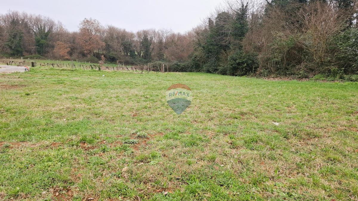 Istria, Brtonigla – Terreno edificabile 619 m²