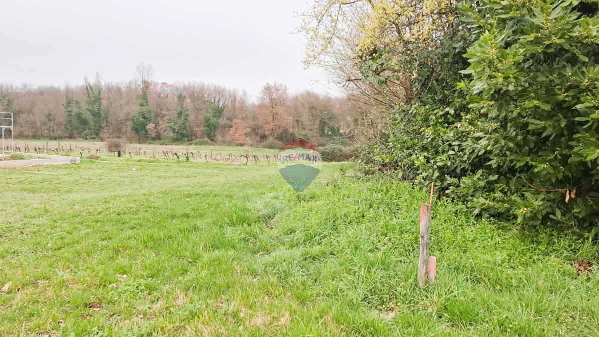 Istria, Brtonigla – Terreno edificabile 619 m²