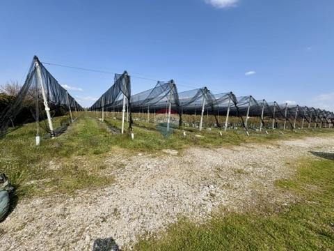 Terreno non edificabile Novoselec, Križ, 12,26m2