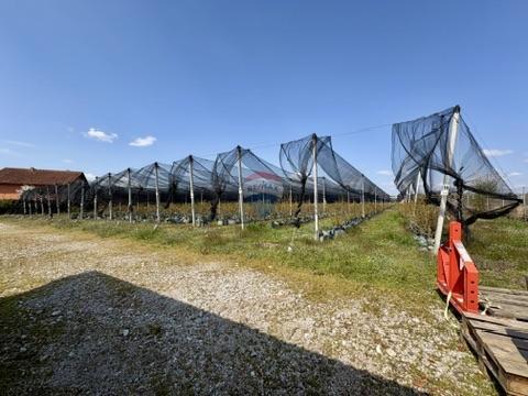 Terreno non edificabile Novoselec, Križ, 12,26m2