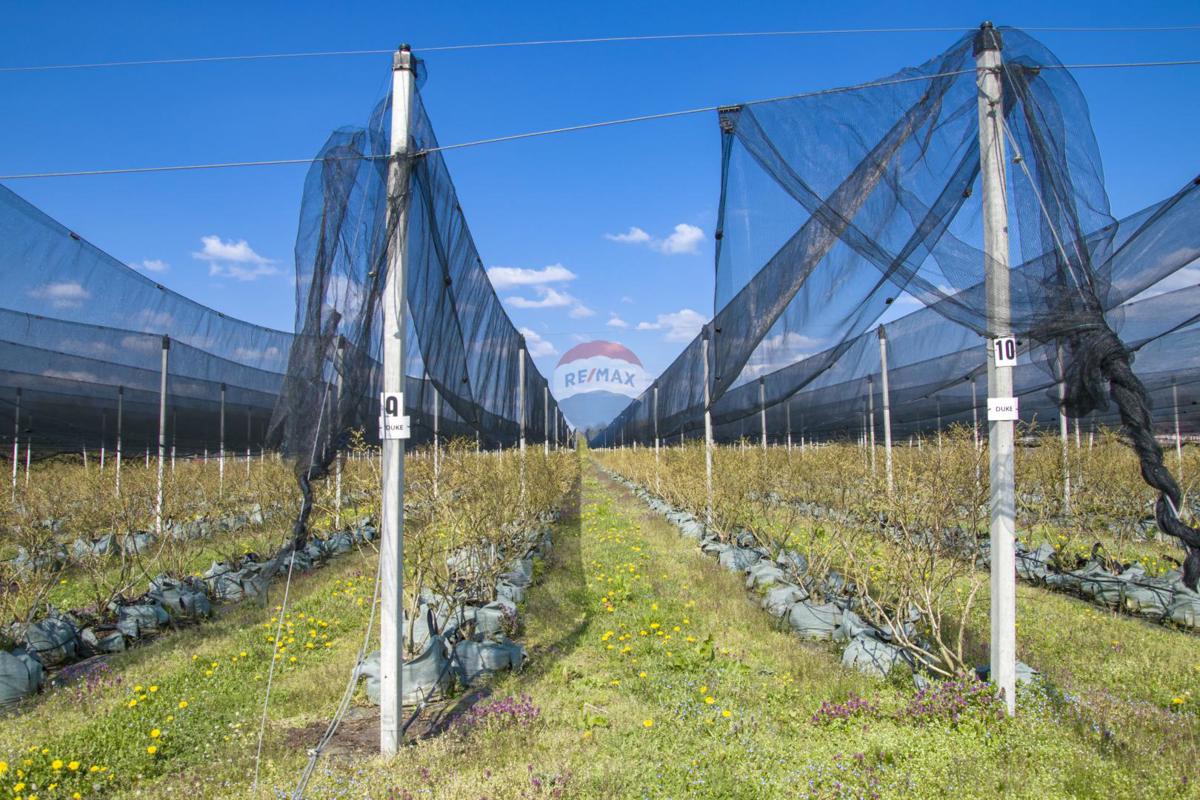 Terreno non edificabile Novoselec, Križ, 12,26m2