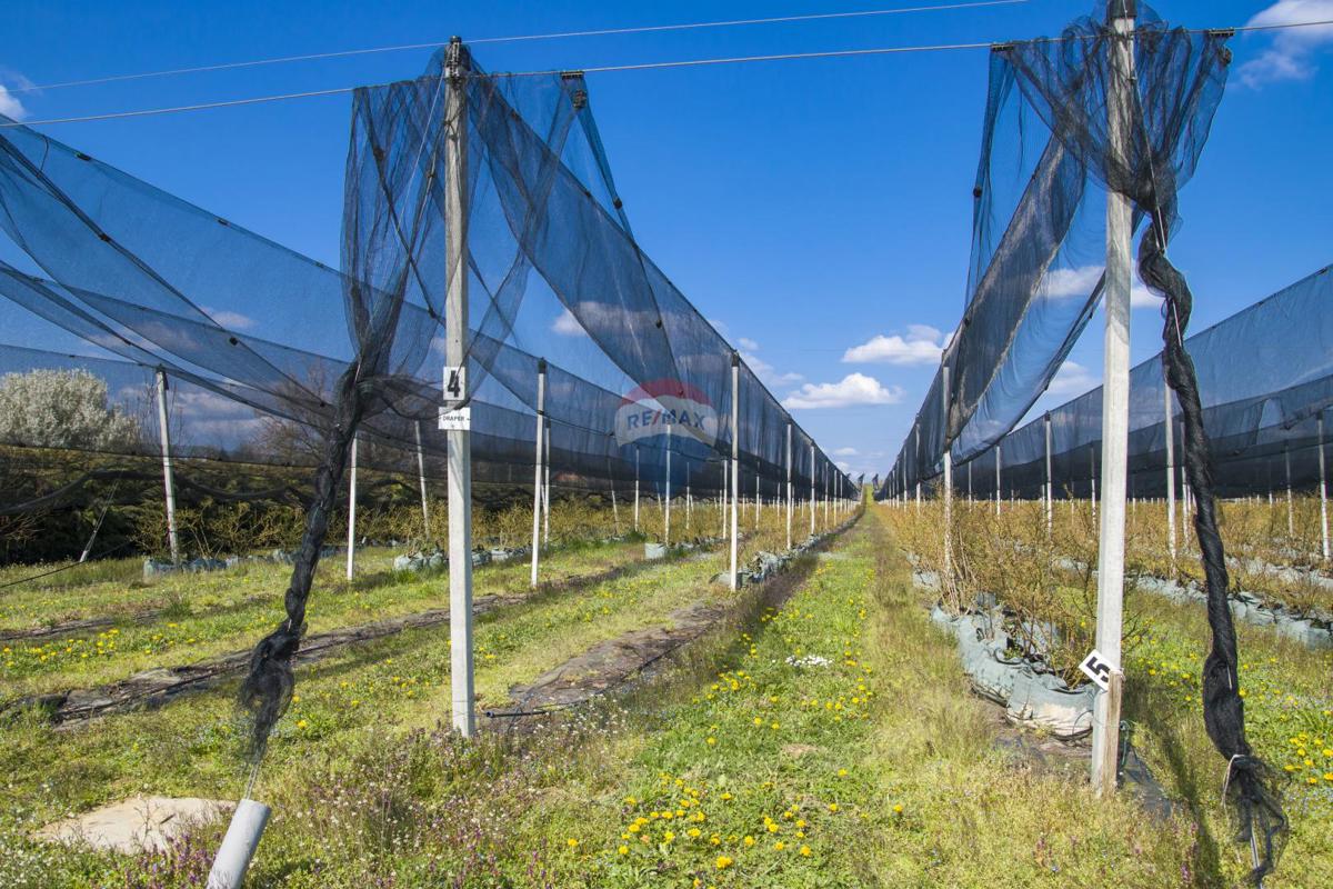 Terreno non edificabile Novoselec, Križ, 12,26m2