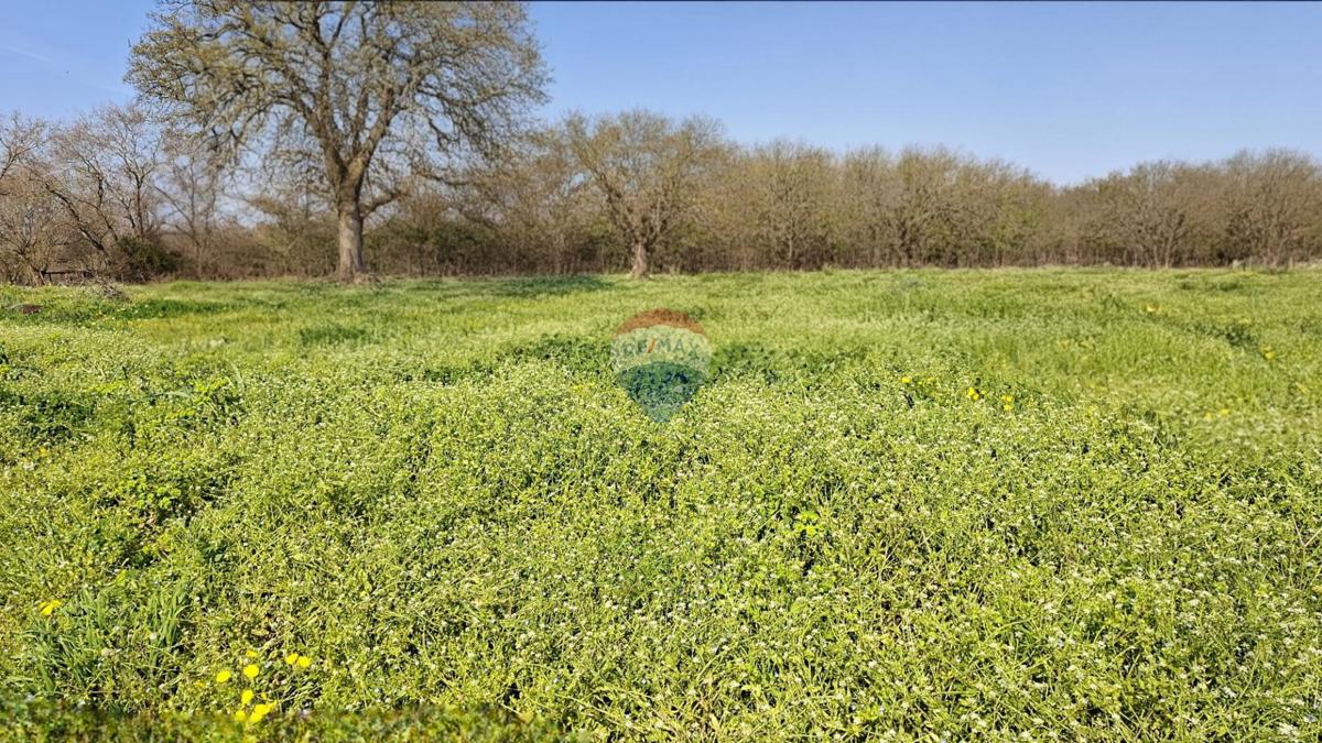 Terreno edificabile Fiorini, Brtonigla, 520m2
