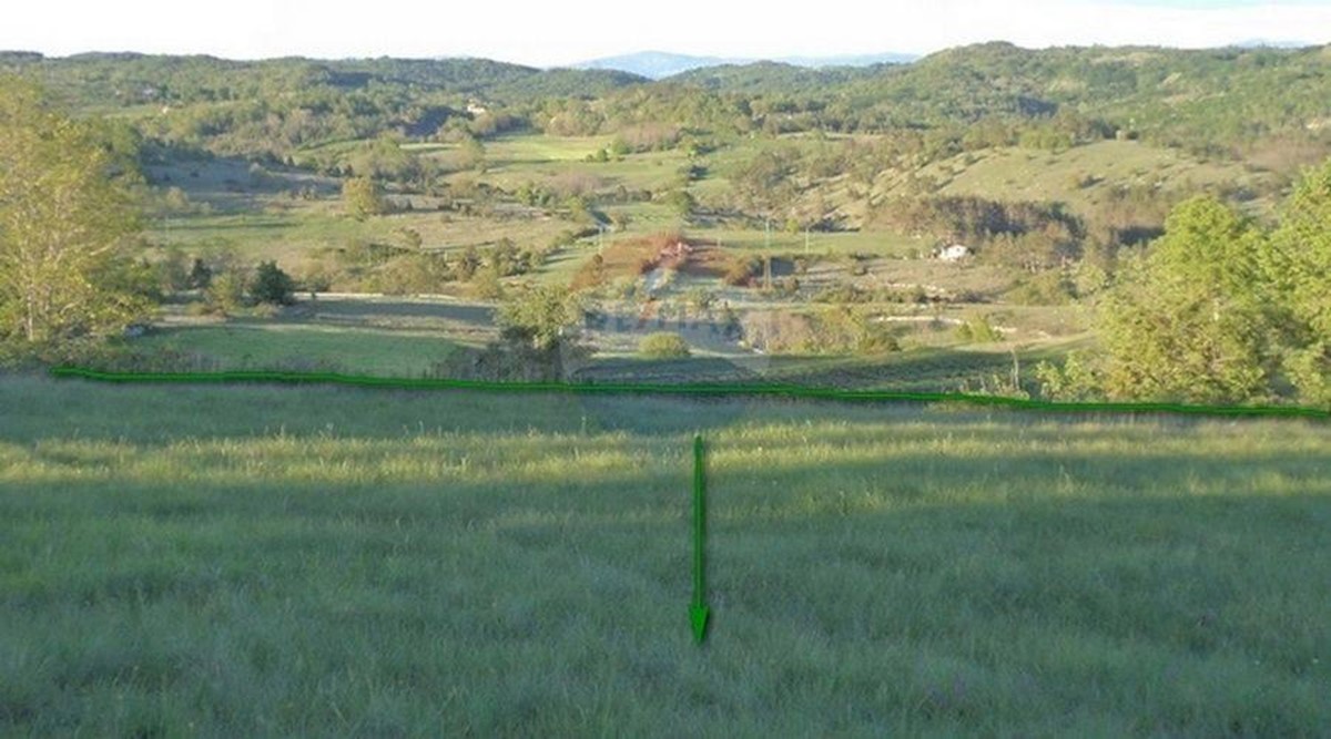 Terreno non edificabile Trviž, Pazin - Okolica, 46.576m2