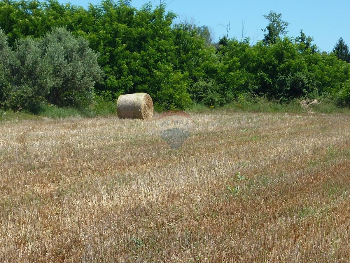 Terreno non edificabile Cerjani, Kaštelir-Labinci, 7.477m2