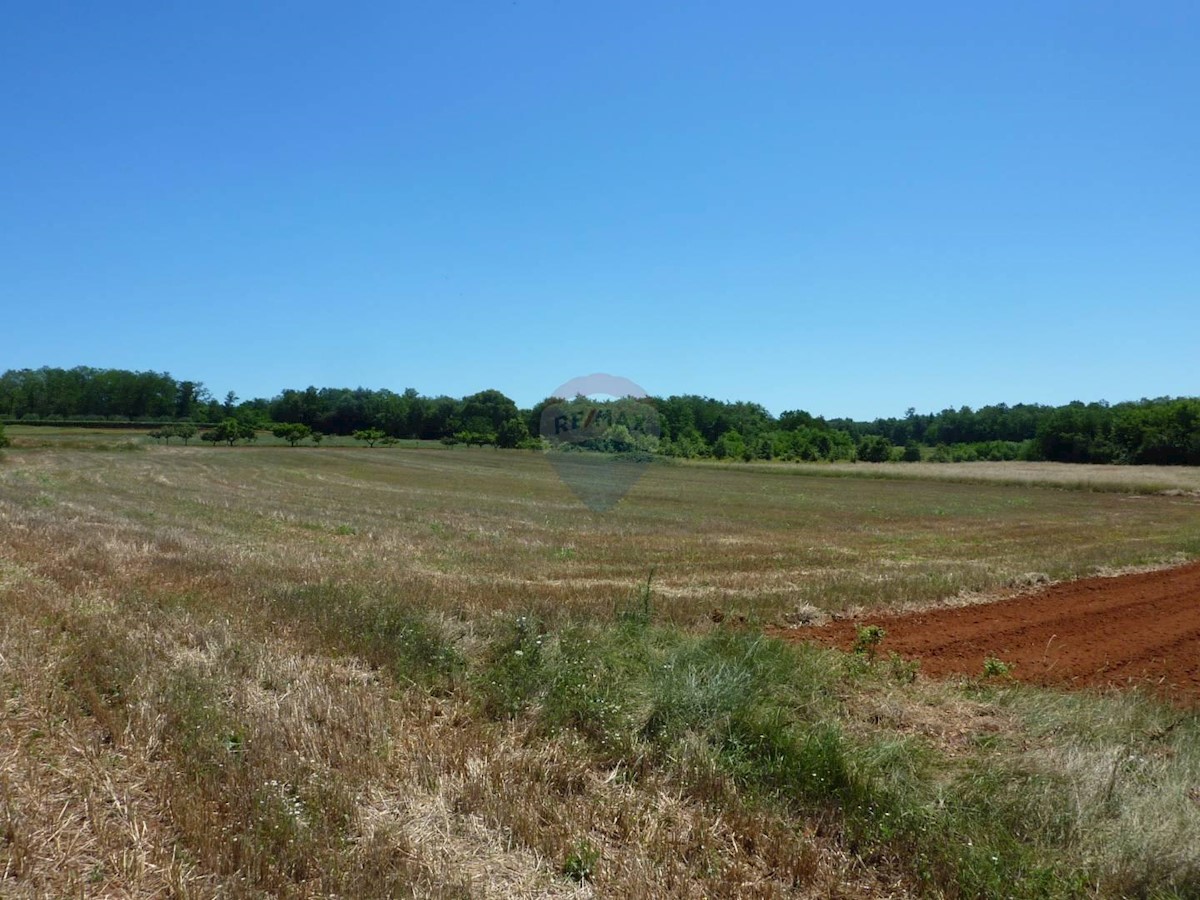 Terreno non edificabile Cerjani, Kaštelir-Labinci, 7.477m2