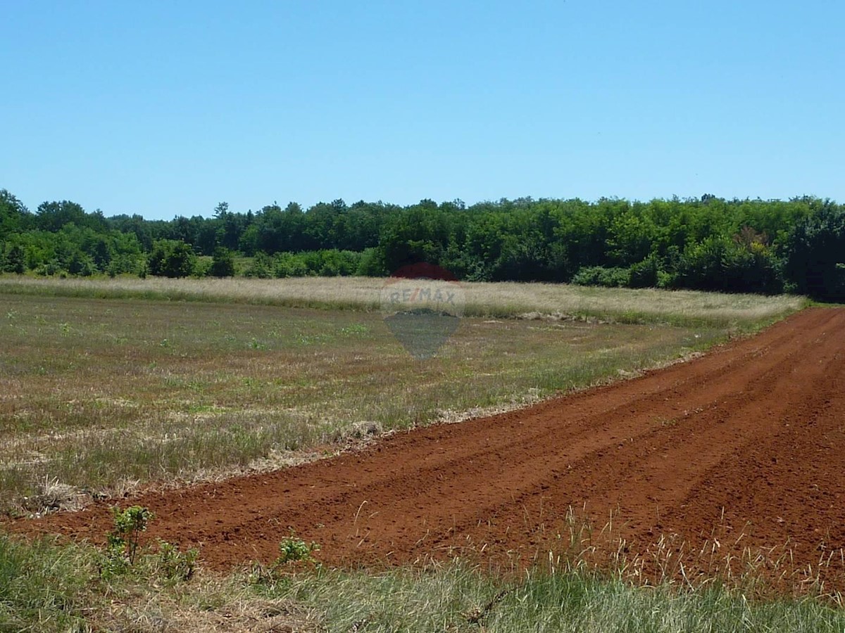 Terreno non edificabile Cerjani, Kaštelir-Labinci, 7.477m2